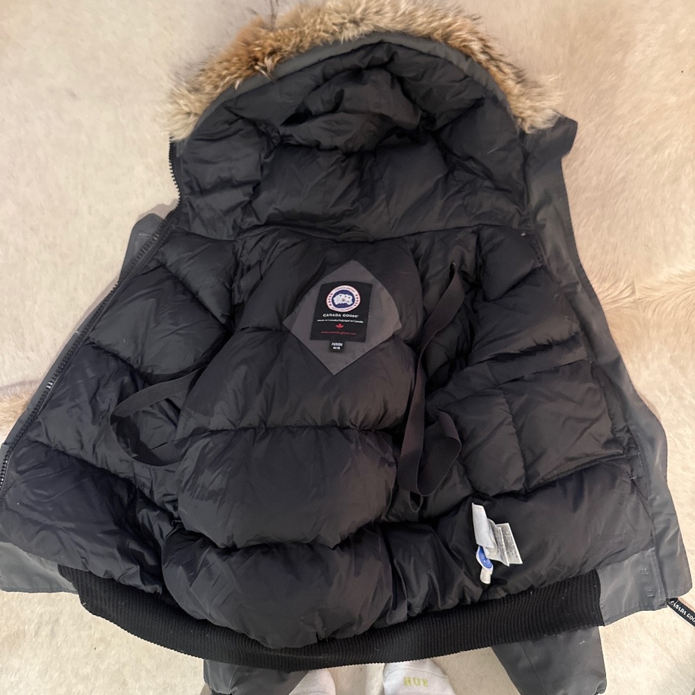 Grey Canada Goose Cropped